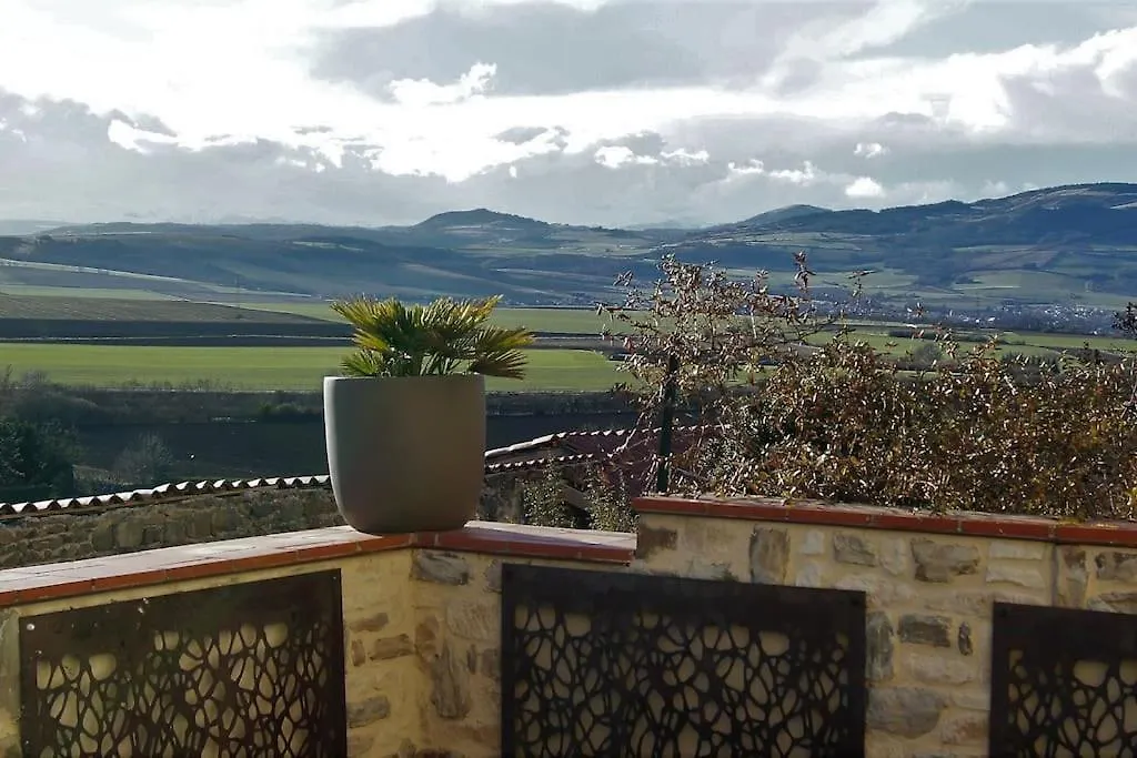 Les Pierres Blondes Apartment Montpeyroux  France